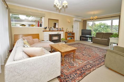 Photo of property in 24 Riverview Terrace, Fairfield, Hamilton, 3214