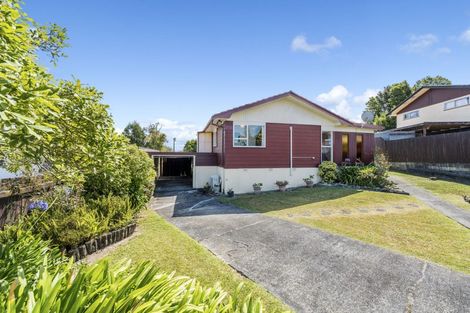 Photo of property in 19 Pankhurst Place, Sunnyvale, Auckland, 0612