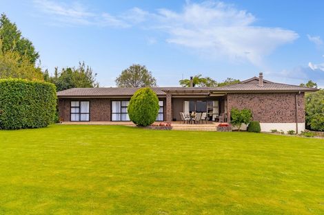 Photo of property in 19a Titoki Street, Lansdowne, Masterton, 5810