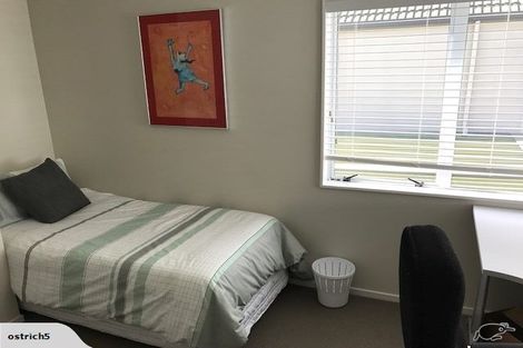 Photo of property in 30b Rita Street, Mount Maunganui, 3116