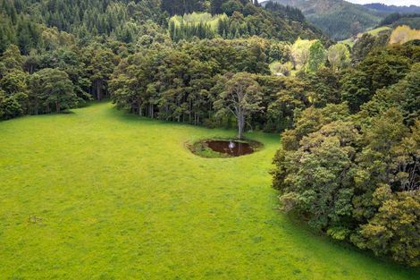 Photo of property in 858 Kaipara Flats Road, Kaipara Flats, Warkworth, 0981