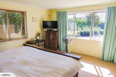Photo of property in 17 Thomas Moore Place, Pukekohe, 2120