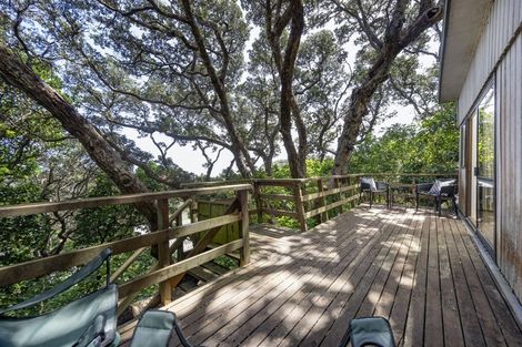 Photo of property in 59 North Piha Road, Piha, 0772