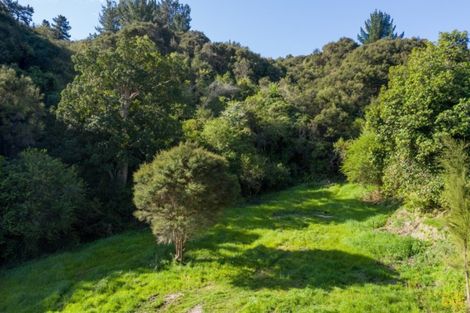 Photo of property in 55 Hill Road, Ormond, Gisborne, 4071