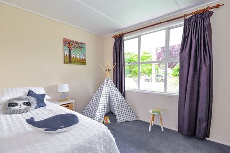 Photo of property in 44 Te Aute Road, Havelock North, 4130