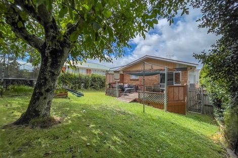 Photo of property in 12 Thornton Street, Putaruru, 3411