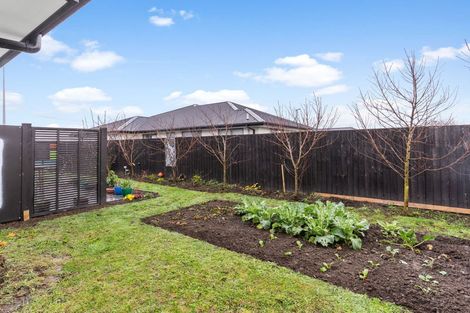 Photo of property in 89 Edward Street, Lincoln, 7608