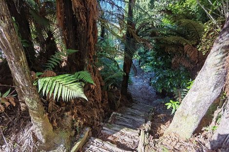 Photo of property in 226 Woodstock-rimu Road, Ruatapu, Hokitika, 7883