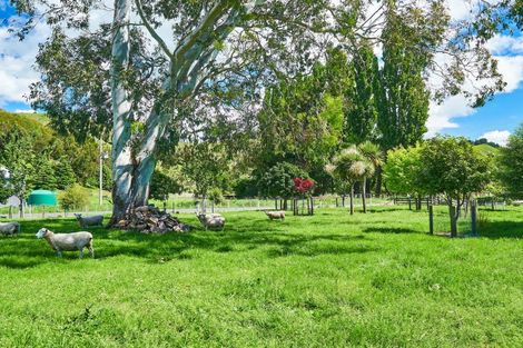 Photo of property in 223 Taurau Valley Road, Manutuke, 4072