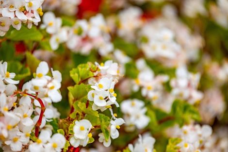 Photo of property in 1b Tomin Road, Glenview, Hamilton, 3206