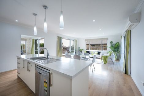 Photo of property in 17 Joyce Place, Richmond, 7020