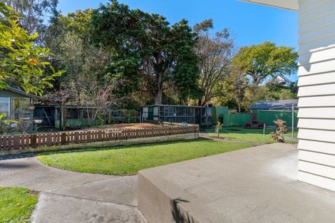 Photo of property in 58 Oxford Street, Lansdowne, Masterton, 5810