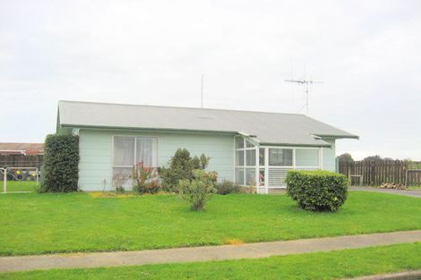Photo of property in 112 Ryder Crescent, Levin, 5510
