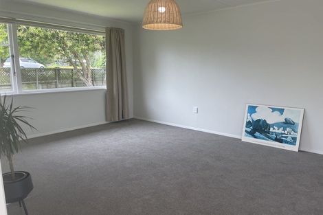 Photo of property in 45 Tutanekai Street, Paraparaumu, 5032