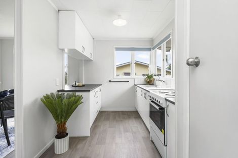 Photo of property in 132 Fairview Street, Chartwell, Hamilton, 3210