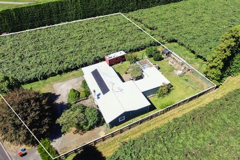 Photo of property in 186 Beach Road, Katikati, 3178