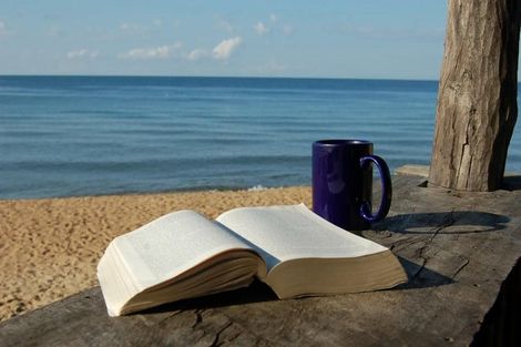 Photo of property in 6 Akau Lane, Wainui, 0992