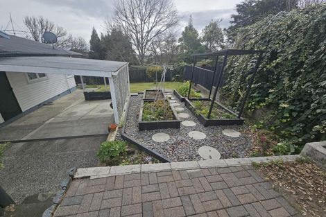 Photo of property in 11 Edith Place, Dinsdale, Hamilton, 3204