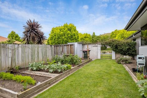 Photo of property in 38 Elmwood Avenue, Witherlea, Blenheim, 7201