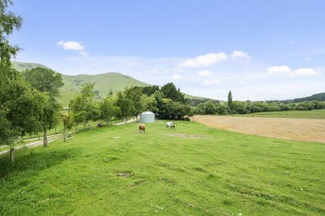 Photo of property in 879 Palmerston-waikouaiti Road, Goodwood, Palmerston, 9481