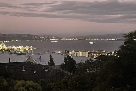 Photo of property in 29 Tanera Crescent, Brooklyn, Wellington, 6021