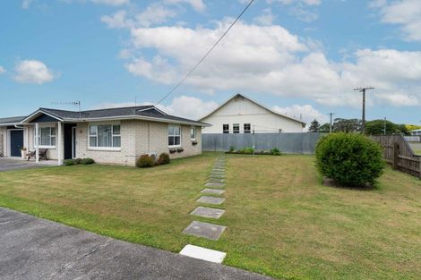 Photo of property in 23a Hobson Street, Feilding, 4702