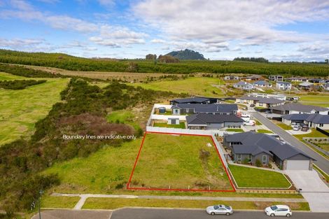 Photo of property in 20 Windsor Street, Richmond Heights, Taupo, 3330