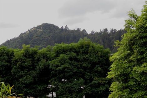 Photo of property in 103 Grafton Road, Thames, 3500