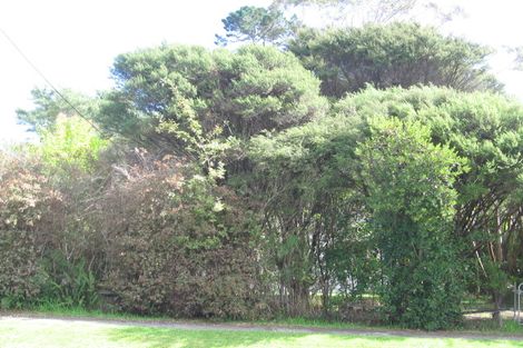Photo of property in 25 Forest Hill Road, Henderson, Auckland, 0612