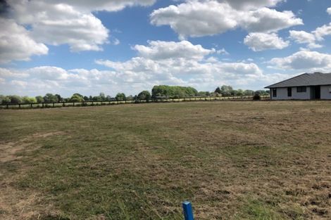 Photo of property in 30 Seachange Drive, Leamington, Cambridge, 3432