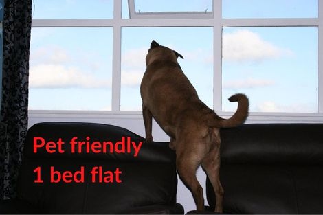 Photo of property in 15a Whaui Street, Vogeltown, Wellington, 6021