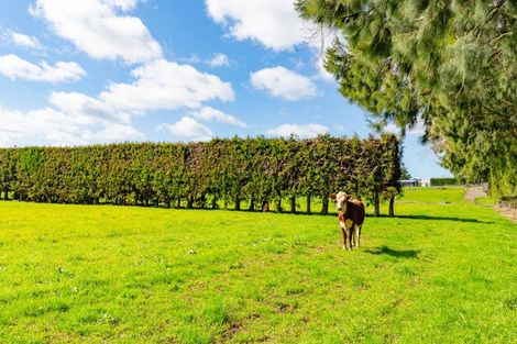 Photo of property in 42 Taupaki Road, Taupaki, 0782