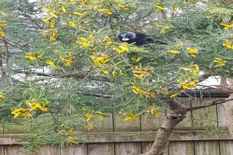 Photo of property in 9a Mistral Place, Paraparaumu Beach, Paraparaumu, 5032