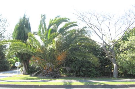 Photo of property in 36 Macdonald Street, Te Hapara, Gisborne, 4010