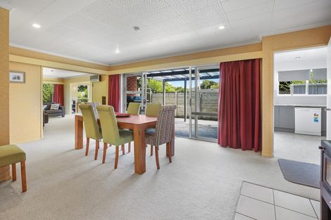 Photo of property in 29 Wymer Terrace, Chartwell, Hamilton, 3210