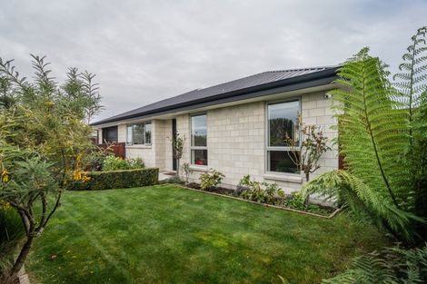 Photo of property in 107 Murray Street, Temuka, 7920