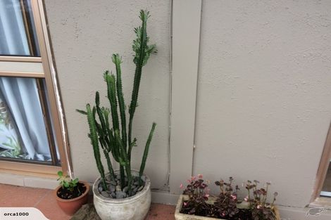 Photo of property in 280g Motutara Road, Muriwai, Waimauku, 0881