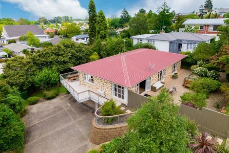 Photo of property in 99 Lake Crescent, Hamilton Lake, Hamilton, 3204