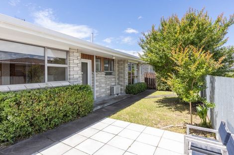 Photo of property in 2/31 Middle Road, Havelock North, 4130
