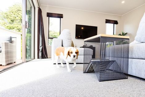 Photo of property in 25 Abbot Street, Waverley, Invercargill, 9810