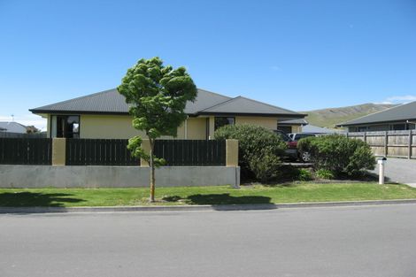 Photo of property in 21 Hope Drive, Witherlea, Blenheim, 7201