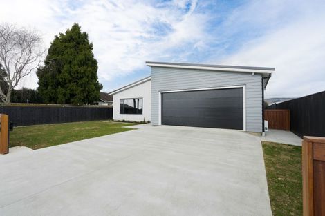 Photo of property in 158 Bartholomew Road, Levin, 5510