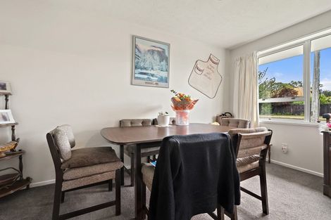 Photo of property in 6 Lagan Street, Belfast, Christchurch, 8051