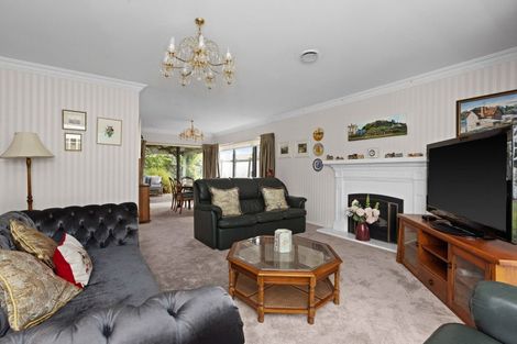 Photo of property in 3 Chestnut Court, Havelock North, 4130