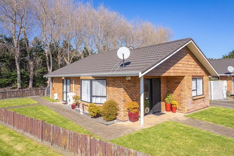 Photo of property in 21a Nikau Street, Tawhero, Whanganui, 4501