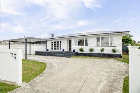 Photo of property in 73 Middle Road, Havelock North, 4130