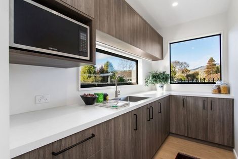 Photo of property in 101 Leistrella Road, Hoon Hay, Christchurch, 8025