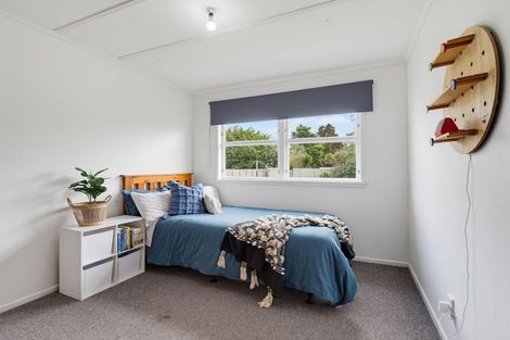 Photo of property in 95 Stanford Street North, Ashhurst, 4810
