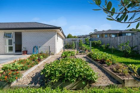 Photo of property in 24 Minerva Avenue, Helensville, 0800