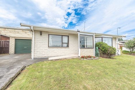 Photo of property in 62 Treadwell Street, Springvale, Whanganui, 4501